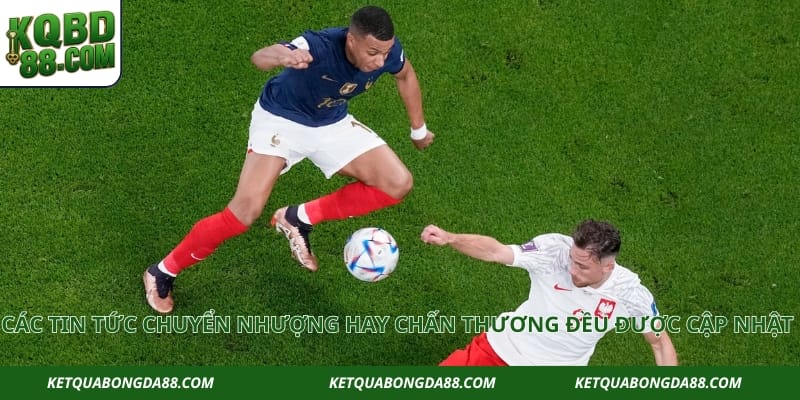 Các tin tức chuyển nhượng hay chấn thương đều được cập nhật liên tục