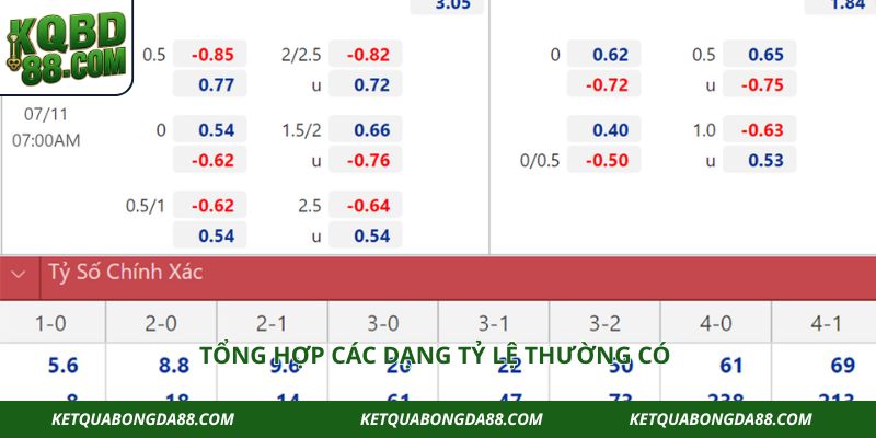 Tổng hợp các dạng tỷ lệ thường có
